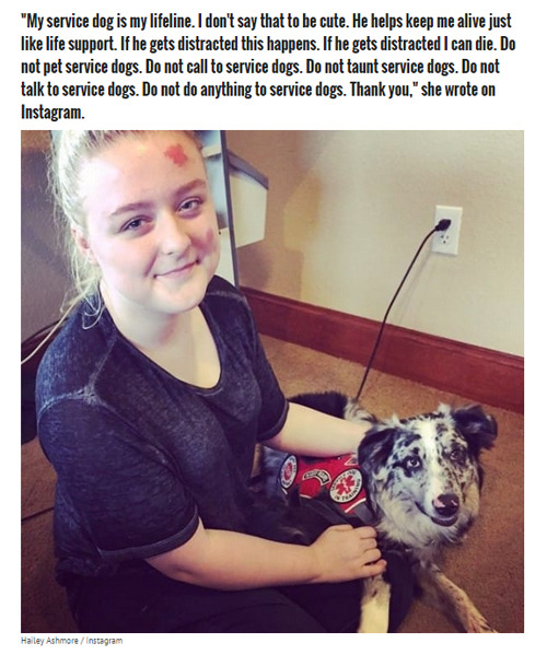 bookipsies:  beloved-rose:    Teen With Epilepsy Has A Seizure When Her Service Dog