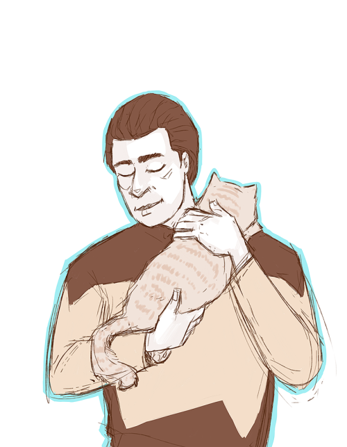 i like data i like cats its only natural that i love the fact that data has a cat