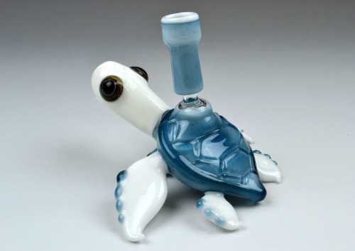 roll0ne: Turtle Glass 