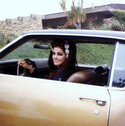 lucasbavid:    Priscilla Presley – 1967