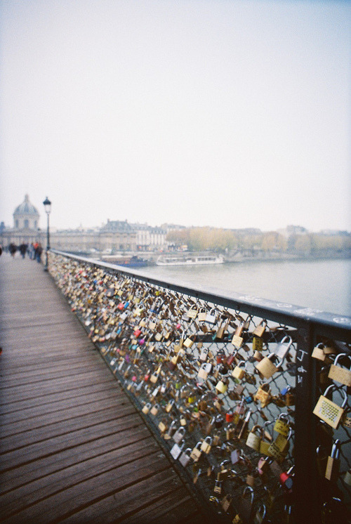 dissapolnted:  vertical/personal/love♥ 
