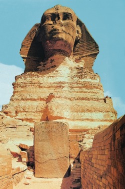 grandegyptianmuseum:      The Great Sphinx