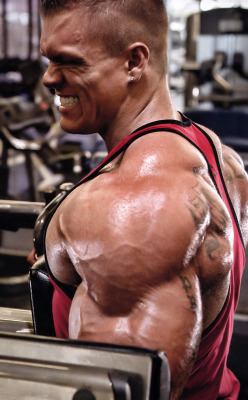 mrmusclelover:  Dallas McCarver 