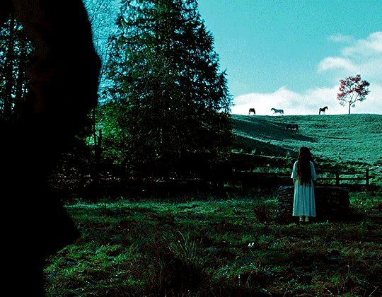 db207e6904e0243524a29d50ce5ba1f8d075226c.gifv