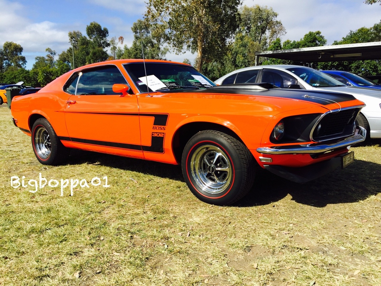 bigboppa01:  Stunning 1969 Boss 302 Mustang at the all ford day at Willowbank raceway.