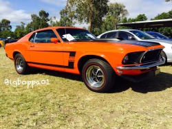 Bigboppa01:  Stunning 1969 Boss 302 Mustang At The All Ford Day At Willowbank Raceway.