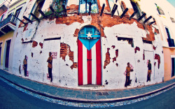 i-sell-my-dreams:  Mi Isla. Mi Patria. Mi Bandera. 