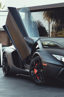 teamfytbl:   Aventador | Source | More    