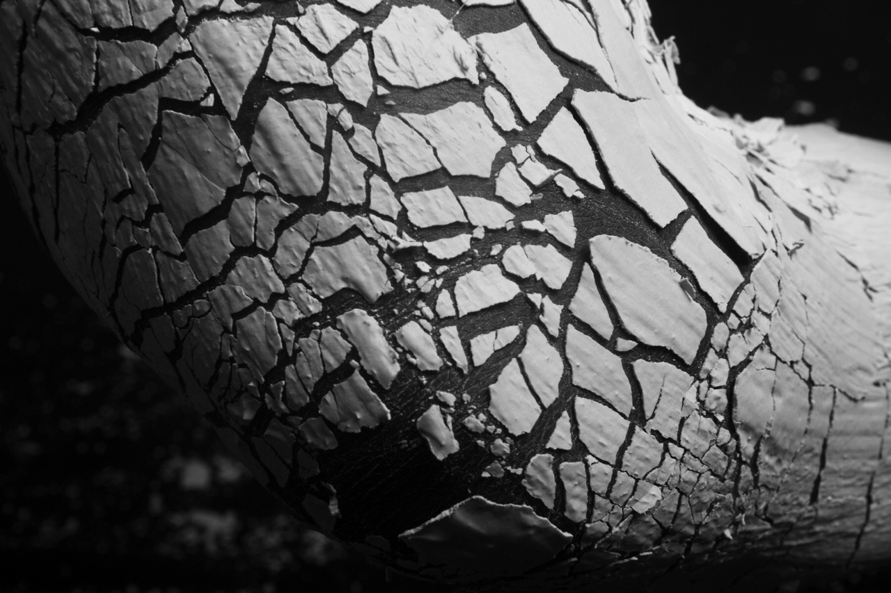 ddliciousxxl:  The last of my texture shoot plaster hurt like a bitch! But it was