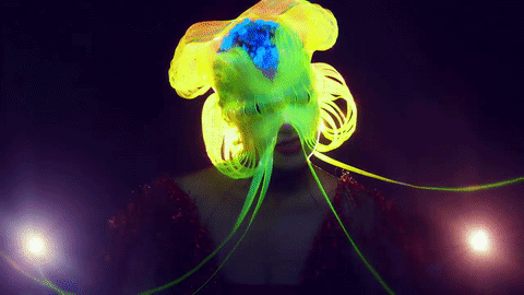 Tumblr - bjork.fr
