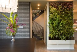 designed-for-life:  Vertical gardens. 