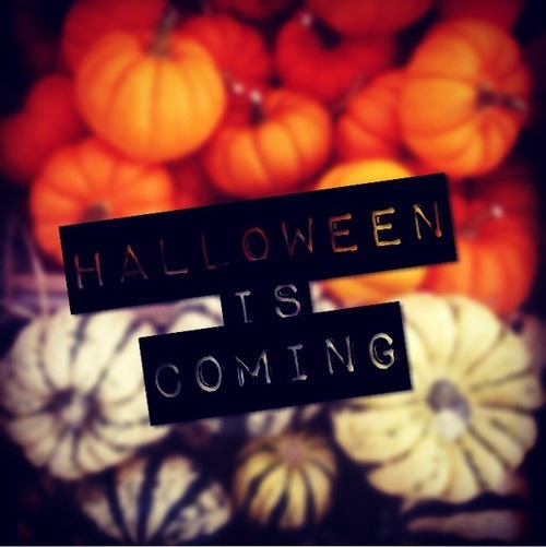 Autumn Hollows
