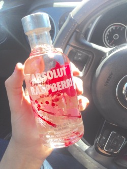 apiece-of-me-died:  Absolut @