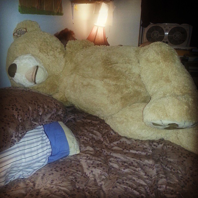 The awesome surprise I came home too