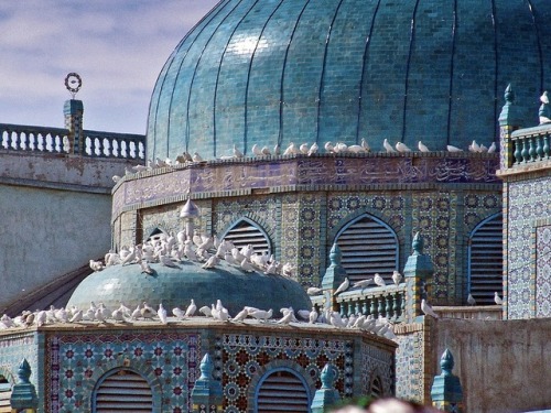 redlipstickresurrected:Unknown Photographer - Blue Mosque in Mazar-i-Sharif, Afghanistan  Photography 