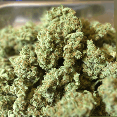 weeditaly:  3D bud
