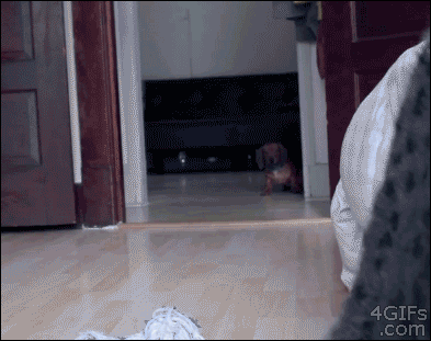 gif-guy:  http://gif-guy.tumblr.com/ 