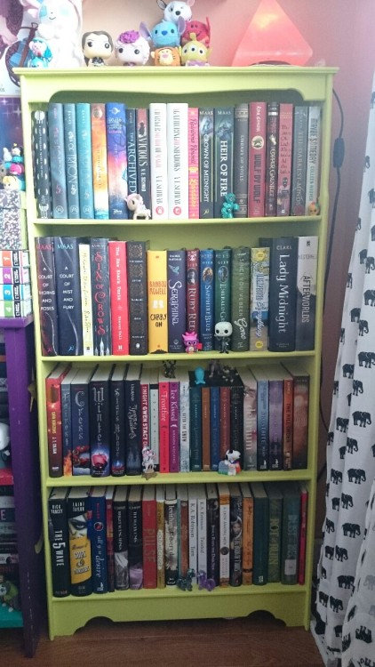 Porn meganxking:  I painted a new book shelf (the photos