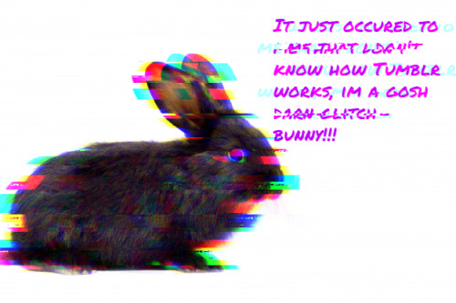 It just occured to me that I don’t know how Tumblr works, Im a gosh darn glitch bunny!!!