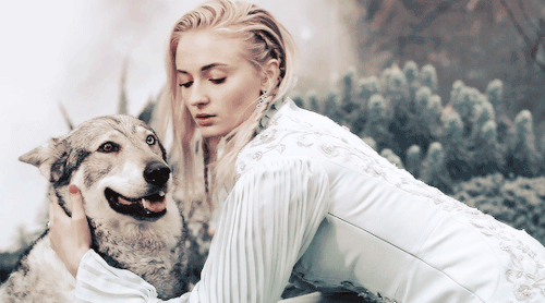 rubyredwisp: Sansa owned a dire wolf (a huge, intelligent, mythological wolf ) until it was stabbed 