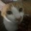 mickymurr