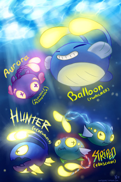 votbear:  Finally done with this! Chinchou