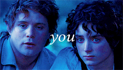 nimrodels:lord of the rings meme: six relationships [1/6] → “Then as he had kept watch Sam had notic