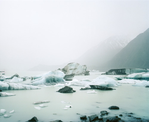 michaelbrunt:Tasman through the Mamiya RB67