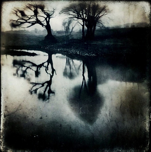 Lake 101123