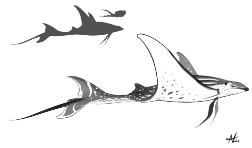  An oceanic critter for the evening. Will play with its design a bit later. 