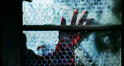 mcavoys:Life is a game, so fight for survival and find out if you’re worth it.— Battle Royale (2000)