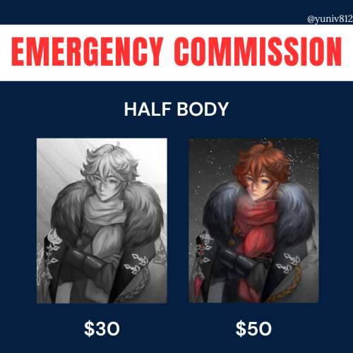 EMERGENCY COMMISSION