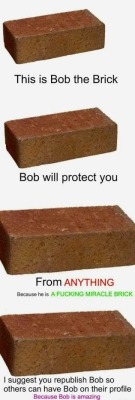 ourmuffinmuffin:  I just got eight brick on ma tumblr Bob is amazing
