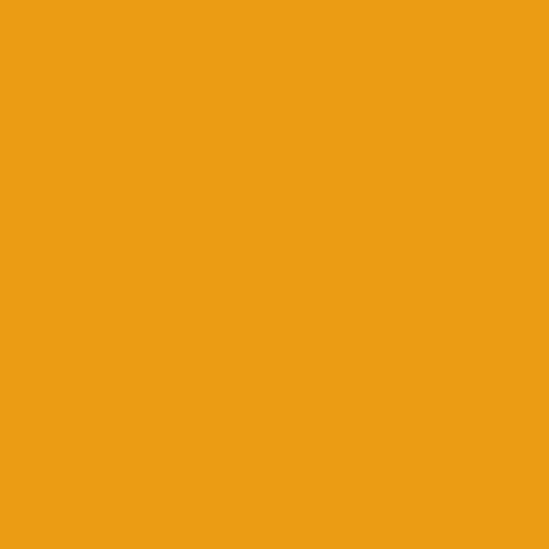 prettycolors:  #eb9c14
