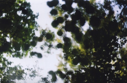 Terry Magson Analogue Photographer