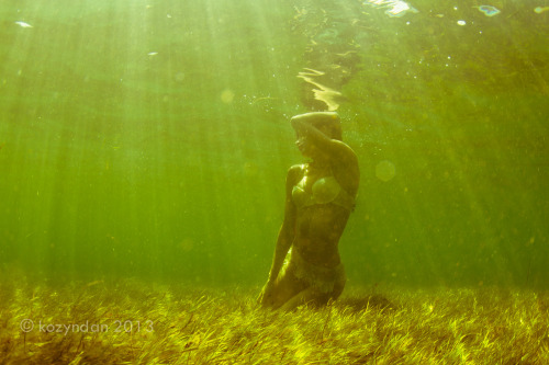 Tori Bellentina by me. Off Rickett&rsquo;s point, Victoria, Australia. March 2013 Big thanks to Cal 