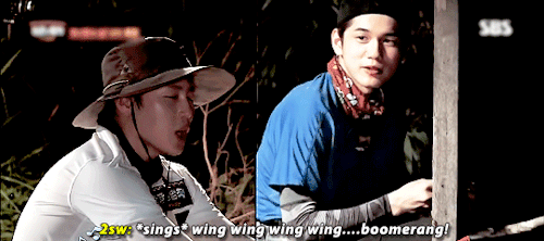 nielwoon:wing wing wing wing… boomerang!