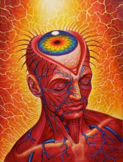 swimminginfrequenciez:  “Aperture” by Alex Grey (2013) 