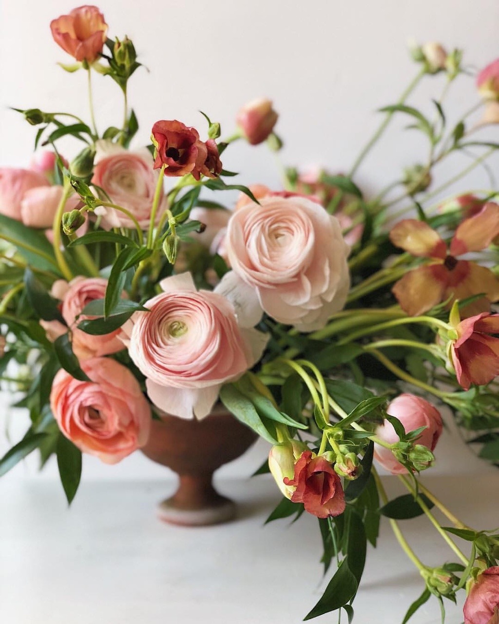 fleur-aesthetic:  instagram | mimosaboston