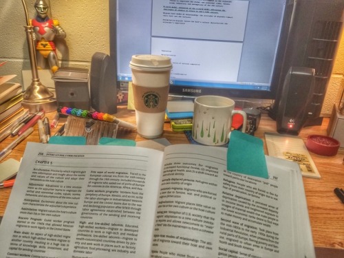 the-brave-studyblr: February 18, 2017 [32/100] I know 90% of my pics are of me studying intercultura