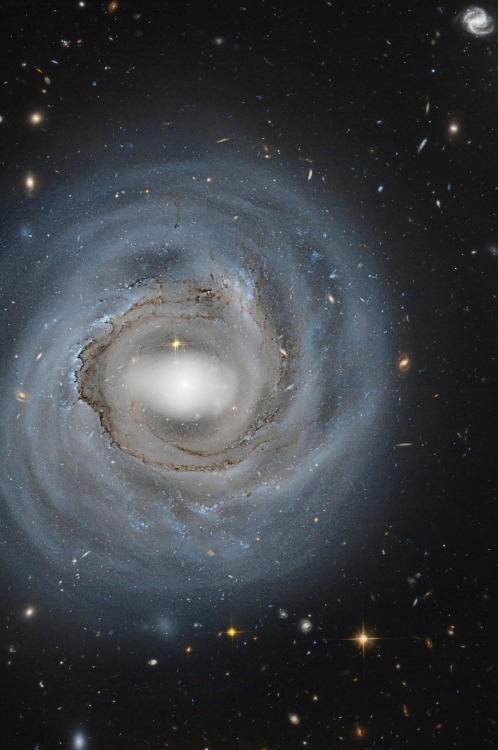 thedemon-hauntedworld:NGC4921 Coma ClusterNGC 4921 is a barred spiral galaxy in the Coma Cluster, lo