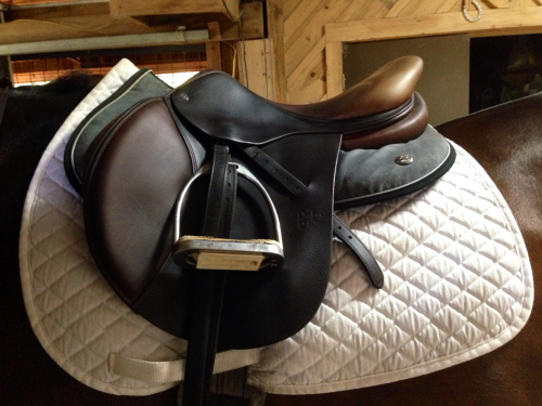 Saddle Porn Tumblr