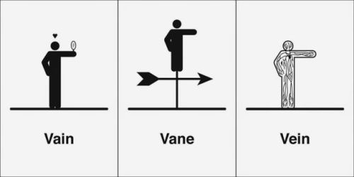 cheshirelibrary:   These Clever Illustrations Of The ‘Same’ Words Should Help You Differentiate  [via Woke Sloth]  If you’ve ever accidentally written “aisle” instead of “isle,” then please direct your attention right over here, because