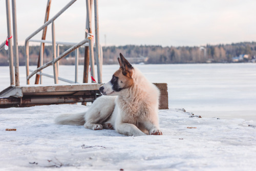  Vyborg, Russia.Photo by Daria KinInstagram @daria.kin 