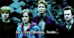 oscarscasillas-blog:  It doesn’t matter that Harry’s gone.  Stand down Neville! 