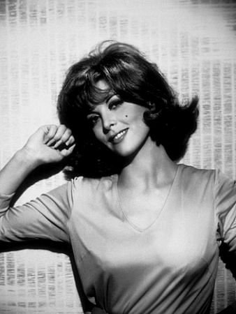 theheftyhideaway:  Tina Louise appreciation post.
