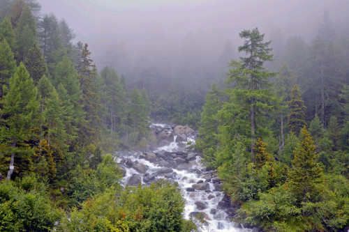 Torrente Ventina by Giorgio Rodano