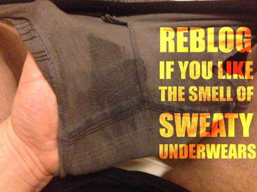 thesmellofman:hoofman40: sweatyundielove: reblog it for the sake of sweaty balls and cocks! Oh Yes! 