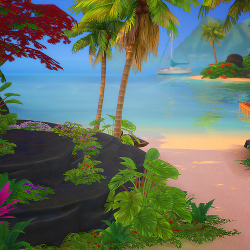 Some Snapshots Of The Islands 