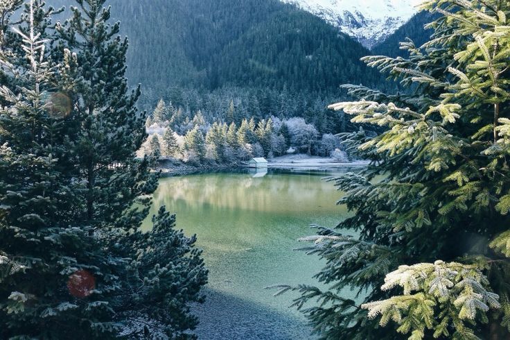 wolverxne:  untitled | by: { bruinalexander }  